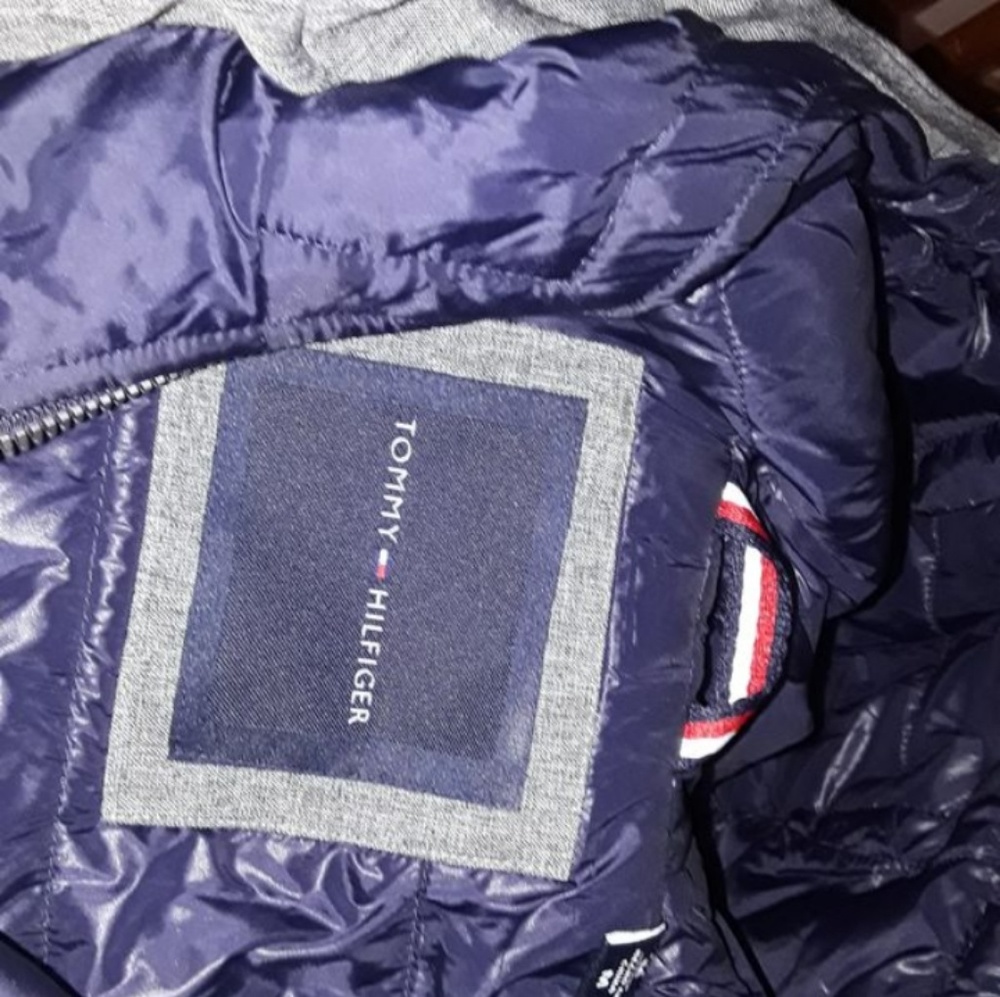 Tommy - Picture 3 of 4